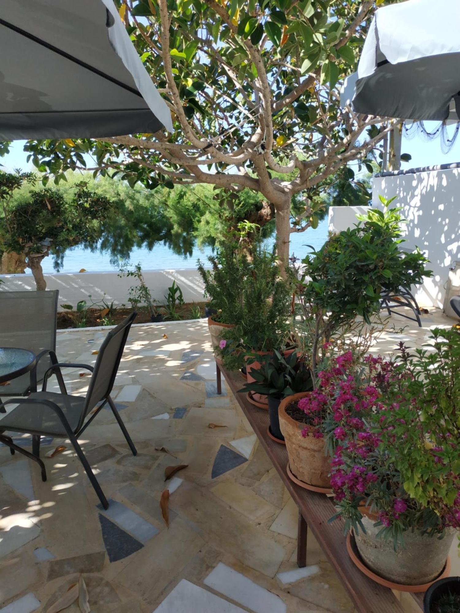 Creta Sun Apartments Makrýgialos エクステリア 写真